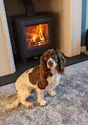 Woodwarm Phoenix Firegem Eco Multifuel - Pre order required - Collection Only.